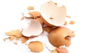¿Es Buena la Cáscara de Huevo para la Artrosis?
