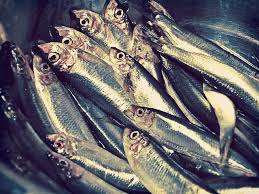 Qué es Bueno para la Artrosis en los Dedos de la Mano: Dieta a Base de Pescados